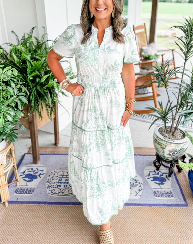 Irelle - Toile Print Maxi Dress