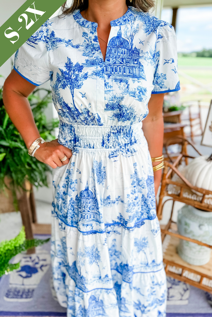 Irelle - Toile Print Maxi Dress